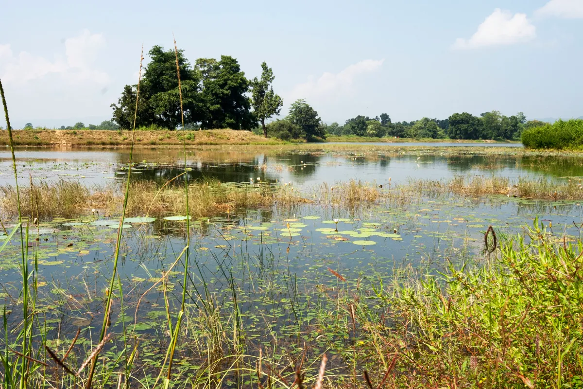 Chandraditya Lake Barsur, Chhattisgarh - Beautiful Bastar