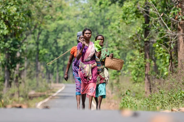 Bastar Tourism in Chhattisgarh - Beautiful Bastar