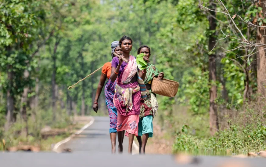 Bastar: The Untouched Kashmir of Central India – A Hidden Gem in Chhattisgarh